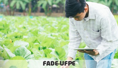 Agente de Mapeamento da Agricultura Familiar | Cadastro Reserva | Edital 060/2022 | IFPE – Fade-UFPE